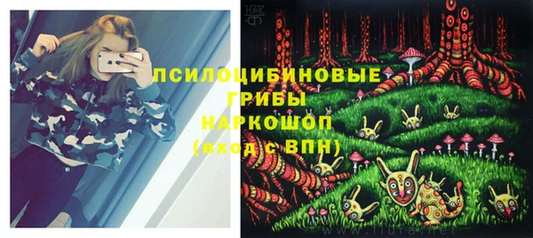 бошки Абинск