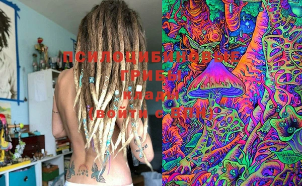 PSILOCYBIN Абдулино