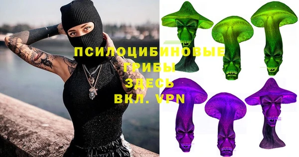 Альфа ПВП Абаза