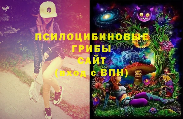 бошки Абинск