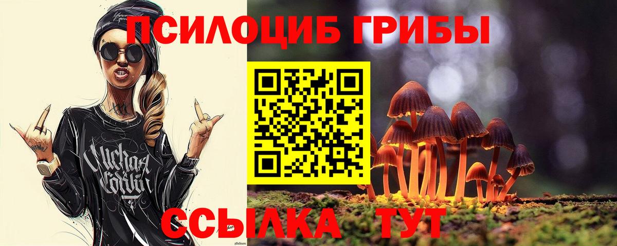 Псилоцибиновые грибы Psilocybe Благодарный